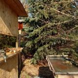 photo 2022-01-10 12-38-16