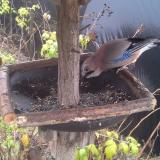 photo 2019-12-14 11-28-41