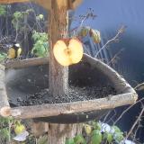 photo 2019-12-03 12-49-27