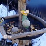 photo 2019-01-14 12-45-56