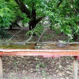 photo 2021-05-20 15-38-29