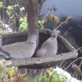 photo 2019-12-02 07-49-08