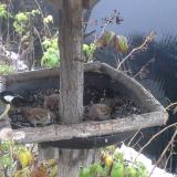 photo 2019-12-02 08-21-24