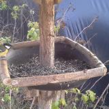 photo 2019-12-15 13-11-49