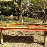 photo 2021-04-12 09-54-33