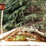 photo 2023-10-20 11-29-37