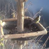 photo 2019-12-31 14-34-53