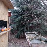 photo 2021-12-22 07-58-53