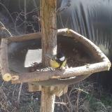 photo 2019-03-14 13-41-16