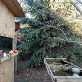 photo 2021-12-17 14-38-17