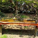 photo 2021-04-21 12-52-48