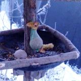 photo 2019-01-21 07-05-37