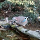 photo 2023-10-22 16-06-34