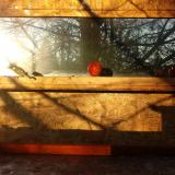 photo 2022-01-15 08-27-04