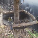 photo 2019-03-16 09-15-12