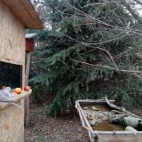 photo 2021-12-19 13-18-32