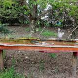 photo 2021-04-25 15-50-21