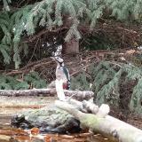 photo 2023-10-20 11-14-46 nfakopancs