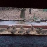 photo 2021-12-09 07-39-39