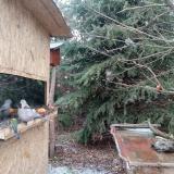 photo 2021-12-28 12-13-22