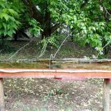 photo 2021-05-19 10-15-15