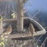 photo 2019-12-26 12-35-53