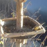 photo 2019-12-30 14-25-19