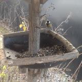 photo 2019-12-29 08-58-15