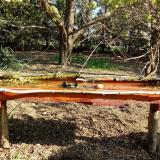 photo 2021-04-10 08-45-39