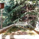 photo 2023-10-02 13-59-39