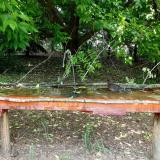 photo 2021-05-25 11-55-32