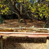 photo 2021-10-19 13-51-31