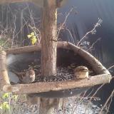 photo 2019-12-26 13-43-59