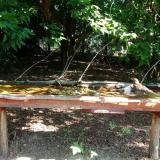 photo 2021-07-24 09-59-39