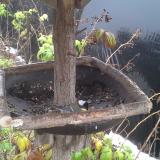 photo 2019-12-02 10-31-28