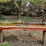 photo 2021-04-13 08-21-22