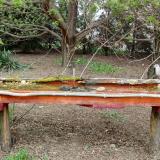 photo 2021-04-12 16-26-03