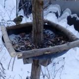 photo 2019-01-07 08-02-58