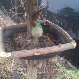 photo 2019-02-11 09-04-00