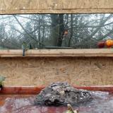 photo 2022-01-25 13-26-14