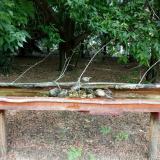 photo 2021-07-12 11-48-38