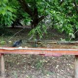 photo 2021-05-24 11-26-06