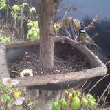 photo 2019-12-09 11-36-45