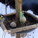 photo 2019-01-11 13-12-28