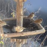 photo 2019-12-30 13-11-48