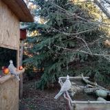 photo 2021-12-21 14-45-42