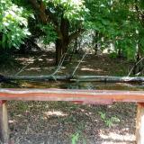 photo 2021-07-04 08-51-00