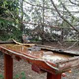 photo 2022-03-31 08-40-59