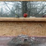 photo 2022-01-16 13-12-08