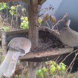 photo 2019-12-12 10-35-04